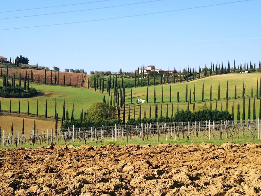 Castello Di Fulignano Ildebrando Superior Apartment San Gimignano Eksteriør billede